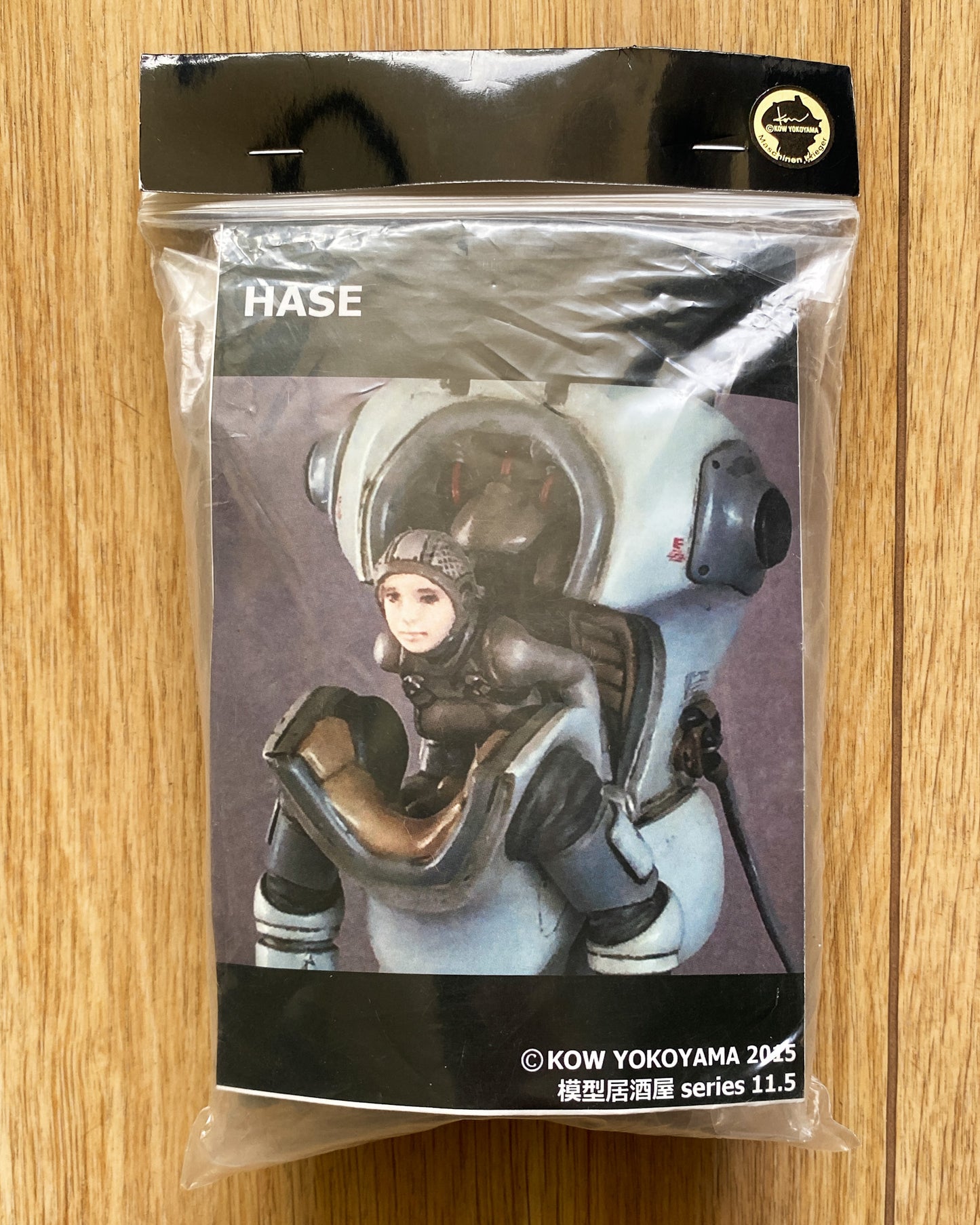 Ma.K. HASE 1/20 — Resin Garage Kit