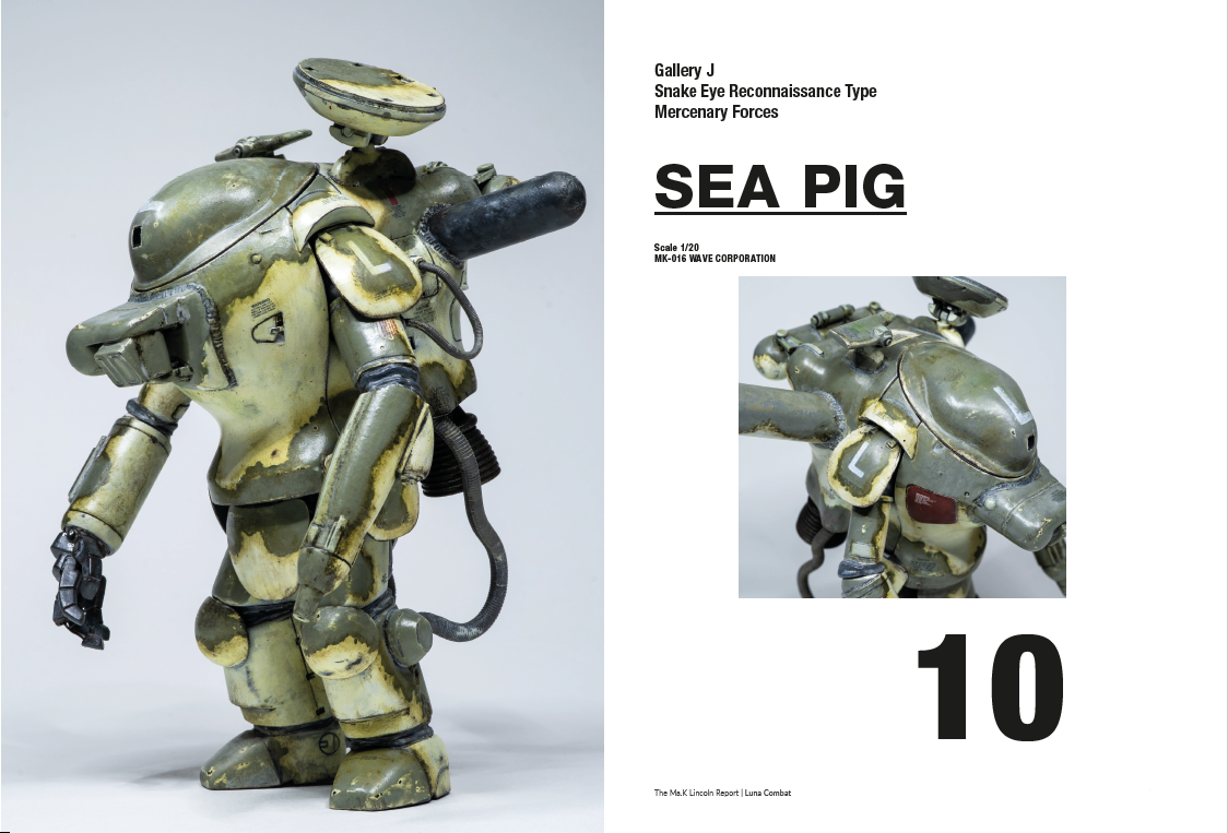 Sea Pig Collector’s Bundle